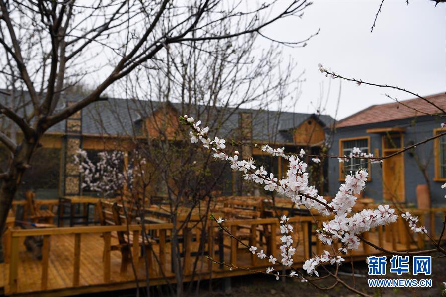 (圖文互動(dòng))(6)“疫”去客來(lái)會(huì)有時(shí)——新疆伊犁河谷旅游市場(chǎng)漸暖見(jiàn)聞