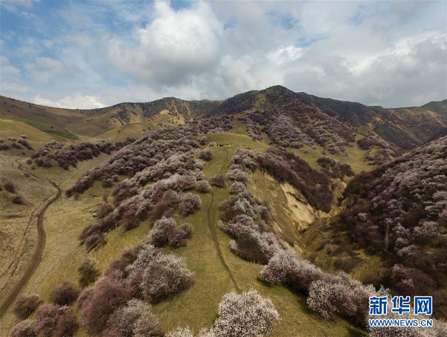 (圖文互動(dòng))(7)“疫”去客來(lái)會(huì)有時(shí)——新疆伊犁河谷旅游市場(chǎng)漸暖見(jiàn)聞