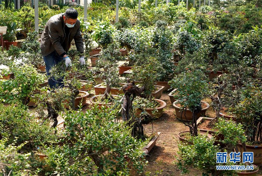 （來自一線的調(diào)查報(bào)告&middot;圖文互動(dòng)）（7）搶出一個(gè)身位謀發(fā)展&mdash;&mdash;河南許昌經(jīng)濟(jì)復(fù)蘇見聞