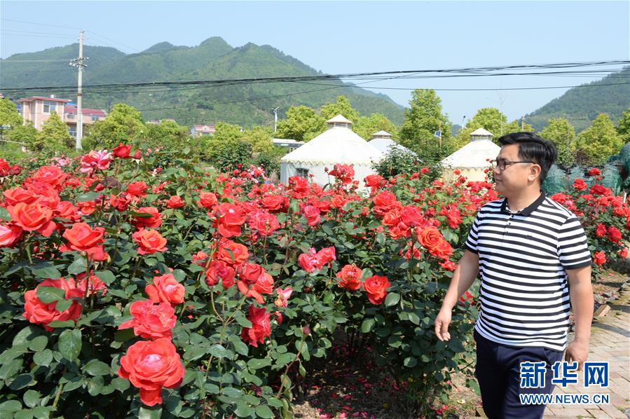 （決戰(zhàn)決勝脫貧攻堅(jiān)&middot;圖文互動(dòng)）（6）理發(fā)師&ldquo;修剪&rdquo;鄉(xiāng)村游一團(tuán)亂麻