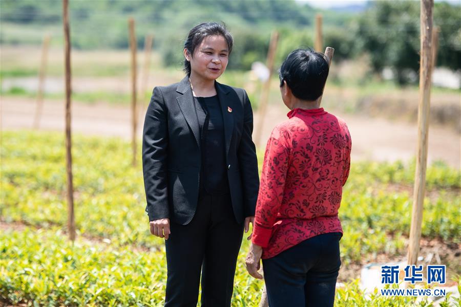 （圖文互動(dòng)）（4）扶貧干部唐華容：治疾病也治&ldquo;窮病&rdquo;