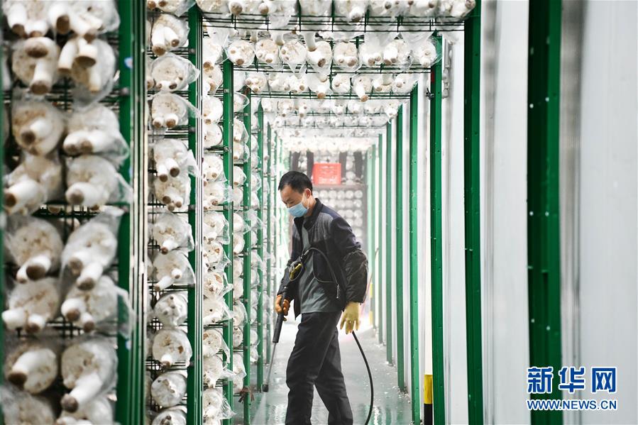 (決戰(zhàn)決勝脫貧攻堅·圖文互動)(3)補短板 促就業(yè) 穩(wěn)增收——貴州向脫貧“硬骨頭”發(fā)起總攻