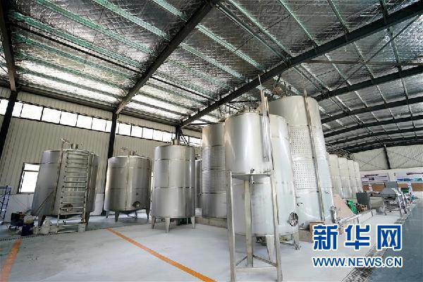 (決戰(zhàn)決勝脫貧攻堅(jiān)·圖文互動(dòng))(5)西藏昌都“甜蜜”產(chǎn)業(yè)助脫貧