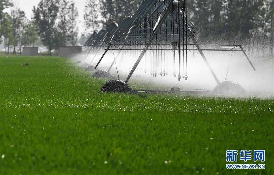 （在習(xí)近平新時(shí)代中國(guó)特色社會(huì)主義思想指引下&mdash;&mdash;新時(shí)代新作為新篇章&middot;習(xí)近平總書(shū)記關(guān)切事&middot;圖文互動(dòng)）（3）新農(nóng)事、新希望&mdash;&mdash;夏收前田間新動(dòng)態(tài)掃描