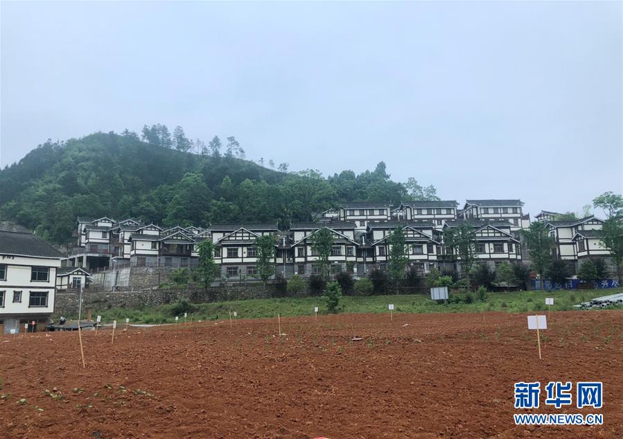 （決戰(zhàn)決勝脫貧攻堅(jiān)&middot;圖文互動(dòng)）（2）一分菜園穩(wěn)&ldquo;心遷&rdquo;