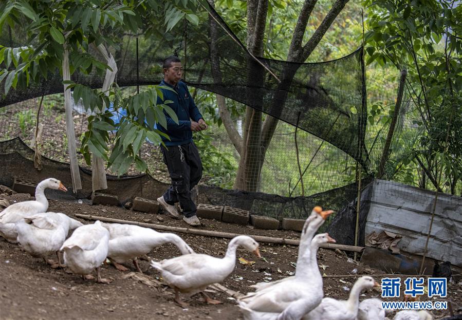(新華全媒頭條·兩會精神看落實(shí)·圖文互動)(8)培育新機(jī) 開辟新局——落實(shí)全國兩會精神激發(fā)經(jīng)濟(jì)發(fā)展新動能述評
