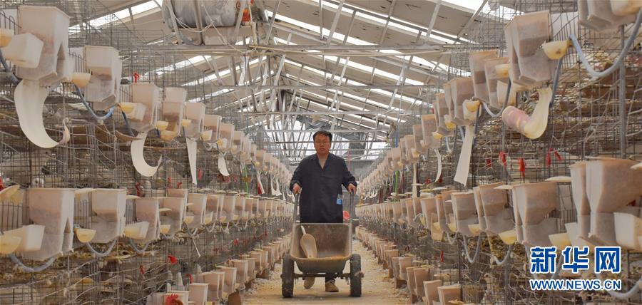 (新華全媒頭條·兩會(huì)精神看落實(shí)·圖文互動(dòng))(1)努力讓群眾看到變化得到實(shí)惠——落實(shí)全國兩會(huì)精神持續(xù)保障和改善民生述評