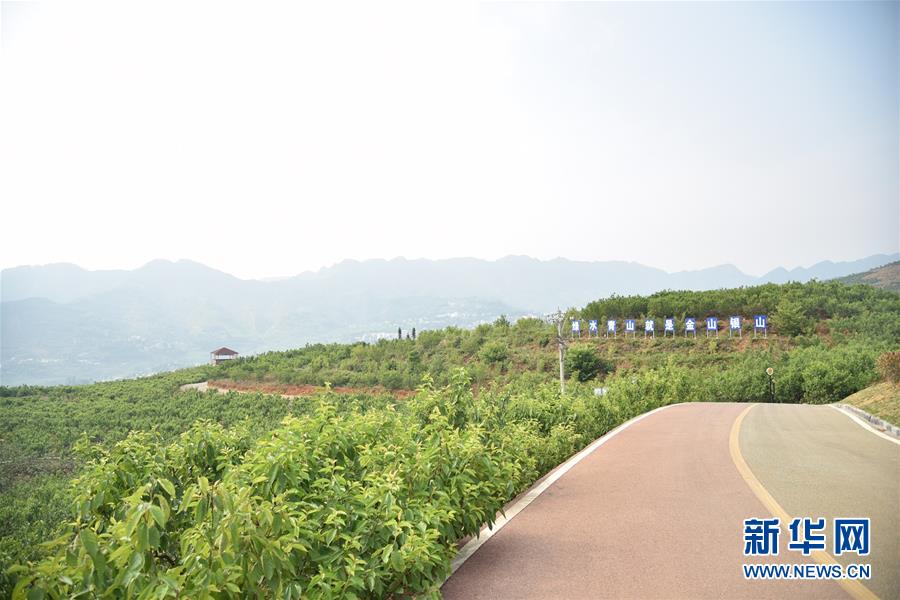 (決戰(zhàn)決勝脫貧攻堅·圖文互動)(2)烏蒙山農(nóng)民的笑臉——貴州脫貧攻堅一線采訪隨筆