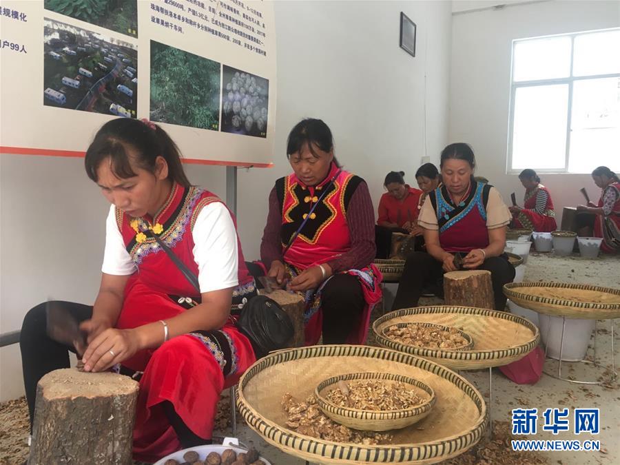 (新華全媒頭條·聚焦“三區(qū)三州”脫貧攻堅·圖文互動)(2)向深度貧困“堡壘”發(fā)起最后總攻——寫在“三區(qū)三州”脫貧攻堅關(guān)鍵時點