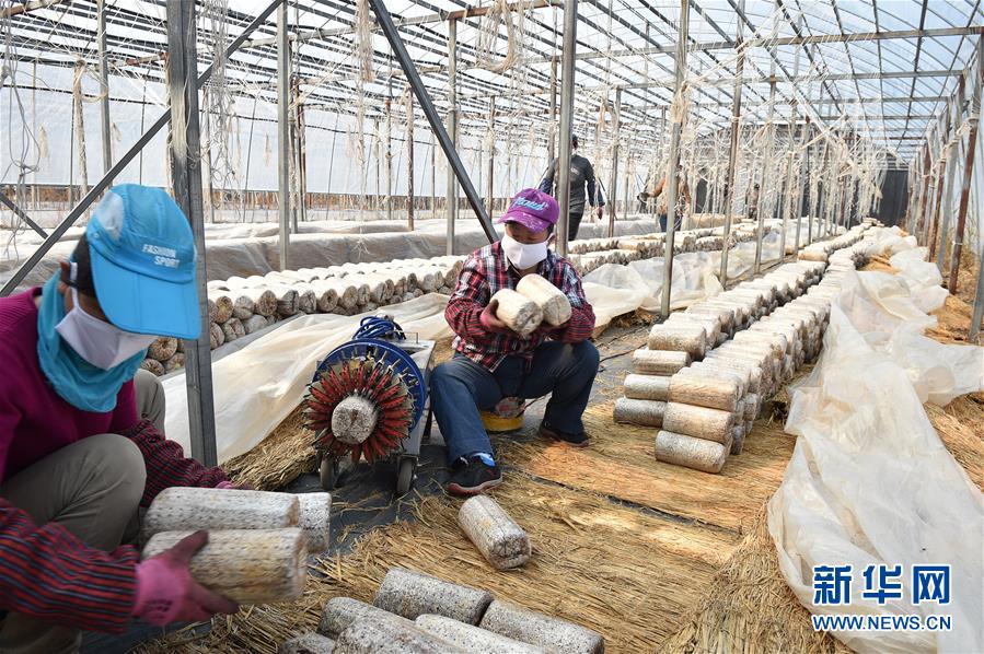 （決戰(zhàn)決勝脫貧攻堅(jiān)&middot;圖文互動(dòng)）（4）長(zhǎng)白山下唱新篇&mdash;&mdash;吉林延邊州脫貧攻堅(jiān)觀察