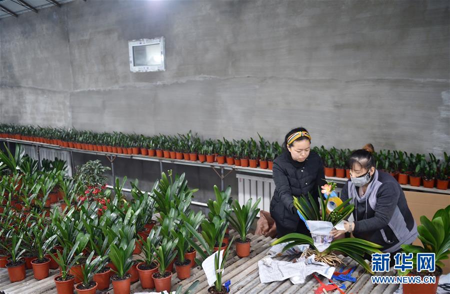 （決戰(zhàn)決勝脫貧攻堅(jiān)&middot;圖文互動(dòng)）（11）長(zhǎng)白山下唱新篇&mdash;&mdash;吉林延邊州脫貧攻堅(jiān)觀察