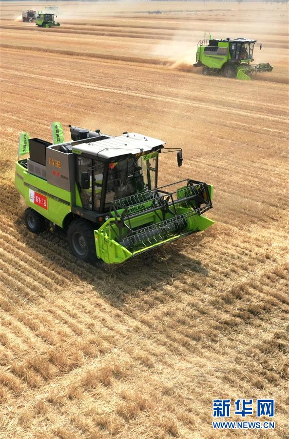 （在習(xí)近平新時代中國特色社會主義思想指引下&mdash;&mdash;新時代新作為新篇章&middot;習(xí)近平總書記關(guān)切事&middot;圖文互動）（13）讓農(nóng)民挑上&ldquo;金扁擔(dān)&rdquo;&mdash;&mdash;農(nóng)業(yè)現(xiàn)代化的生動實踐掃描