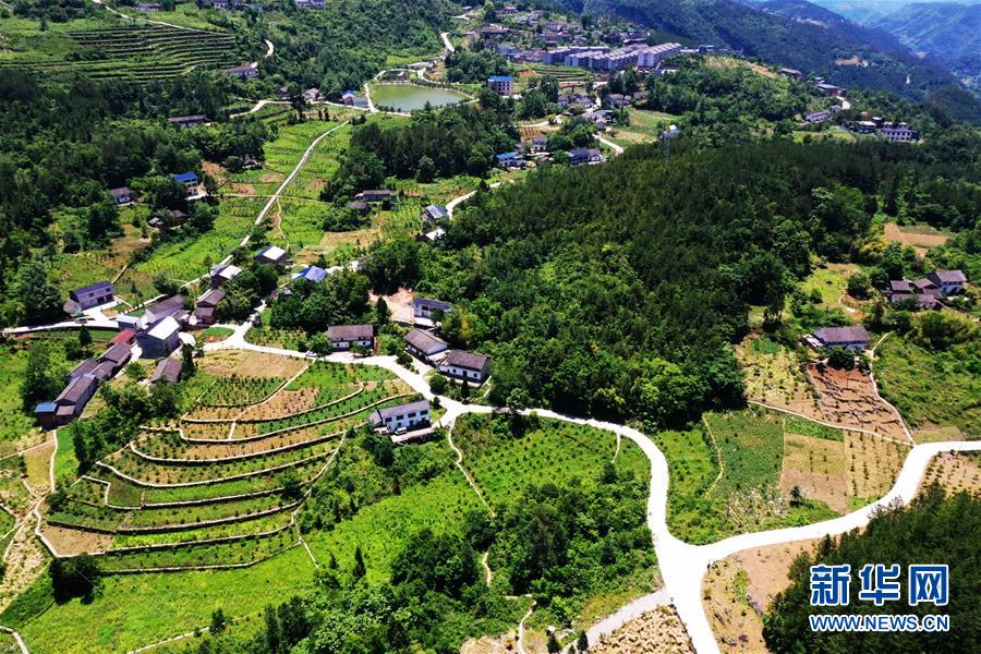 (新華全媒頭條·圖文互動)(11)待到滿山紅葉時——三峽重慶庫區(qū)踐行新發(fā)展理念面面觀