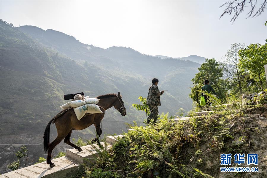 (脫貧攻堅(jiān))(12)托坪脫貧 五湖為家