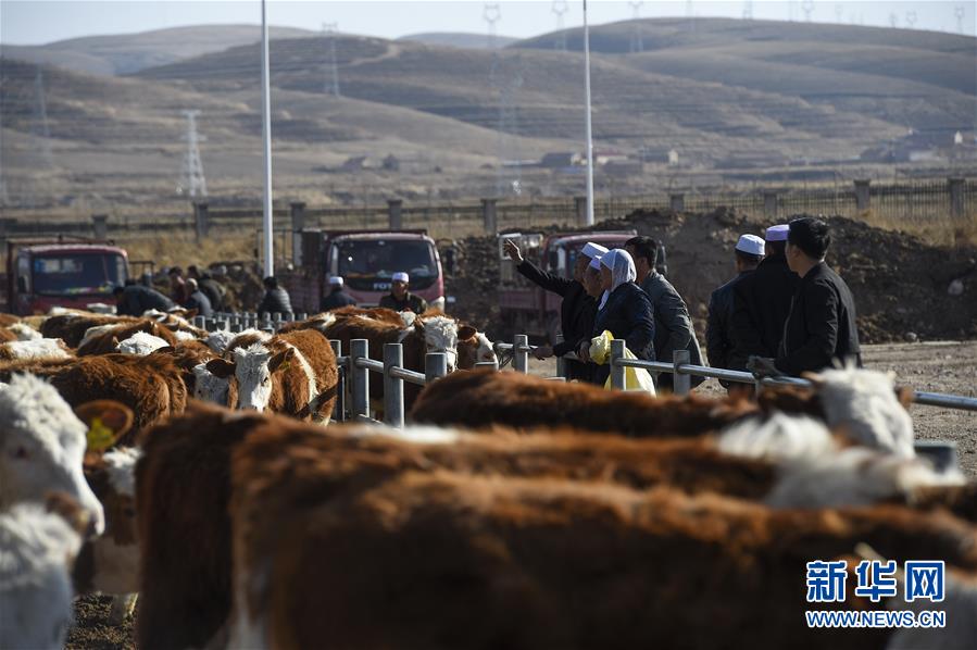 (在習(xí)近平新時(shí)代中國特色社會(huì)主義思想指引下——新時(shí)代新作為新篇章·習(xí)近平總書記關(guān)切事·圖文互動(dòng))(2)六盤山下的誓言——來自寧夏的脫貧故事