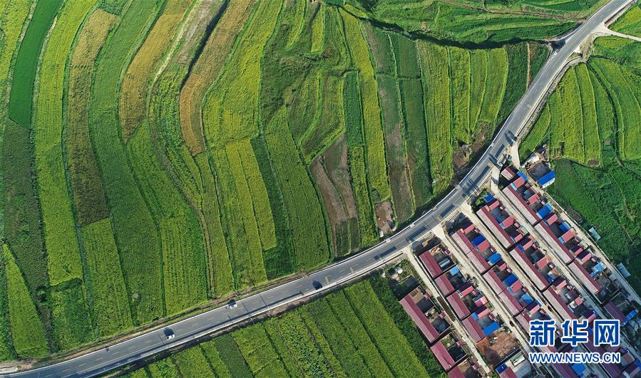 (在習(xí)近平新時(shí)代中國特色社會(huì)主義思想指引下——新時(shí)代新作為新篇章·習(xí)近平總書記關(guān)切事·圖文互動(dòng))(4)六盤山下的誓言——來自寧夏的脫貧故事