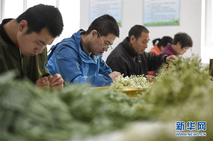 (在習(xí)近平新時(shí)代中國特色社會(huì)主義思想指引下——新時(shí)代新作為新篇章·習(xí)近平總書記關(guān)切事·圖文互動(dòng))(5)六盤山下的誓言——來自寧夏的脫貧故事