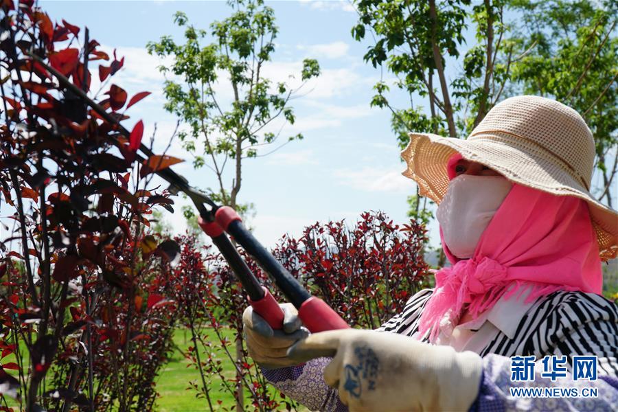 (決戰(zhàn)決勝脫貧攻堅(jiān)·圖文互動(dòng))(2)李三姐有了“美”差事