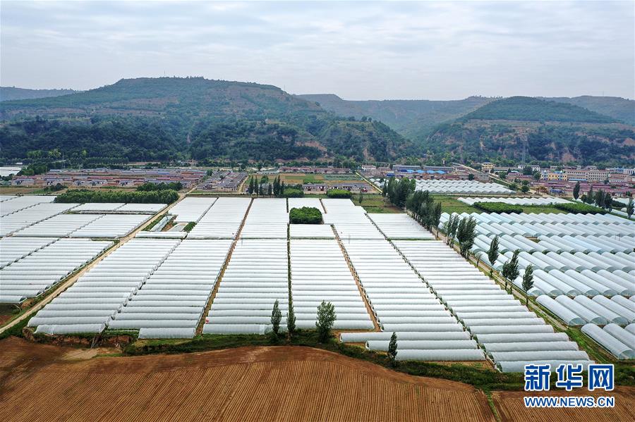 （決戰(zhàn)決勝脫貧攻堅(jiān)&middot;圖文互動(dòng)）（3）魚漁兼授 志智雙扶&mdash;&mdash;窮溝溝&ldquo;菜富記&rdquo;