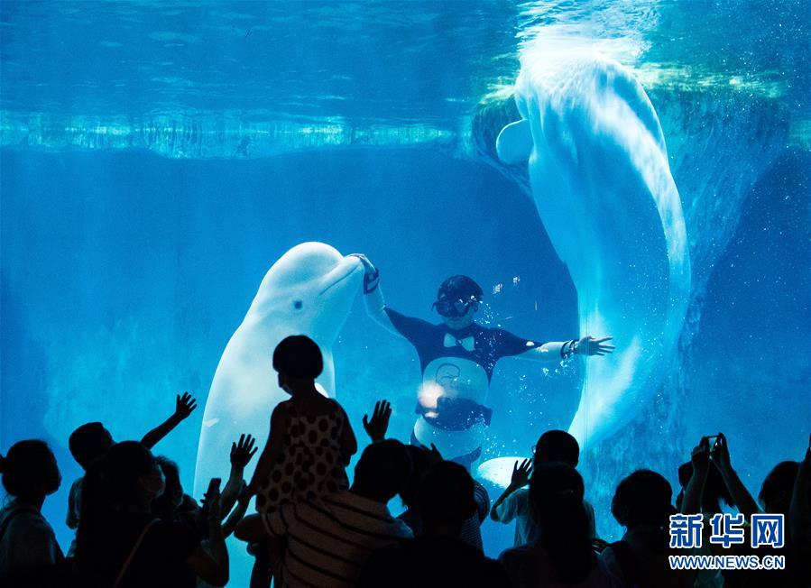 (社會)(1)樂享端午假期