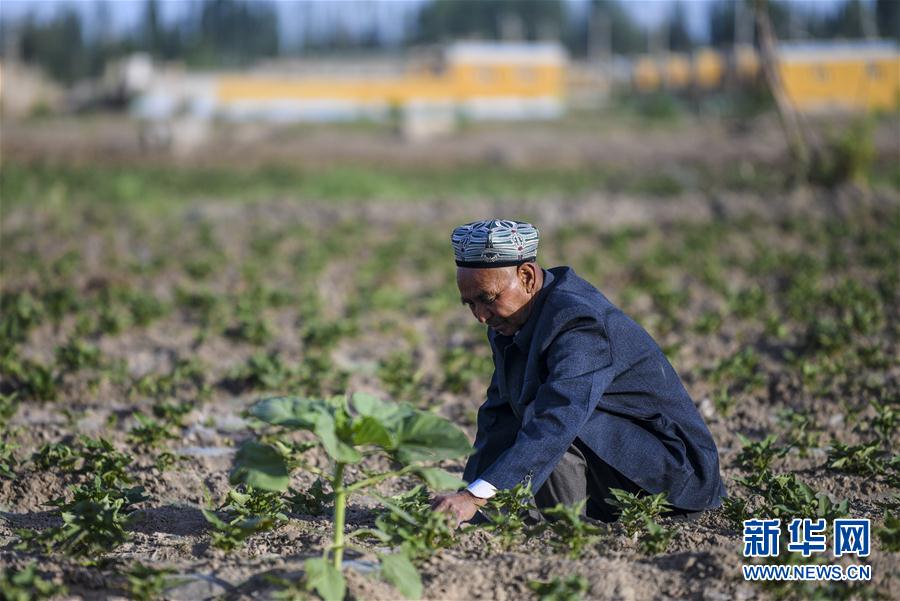 (圖文互動(dòng))(5)“沙漠高地”的美好家園