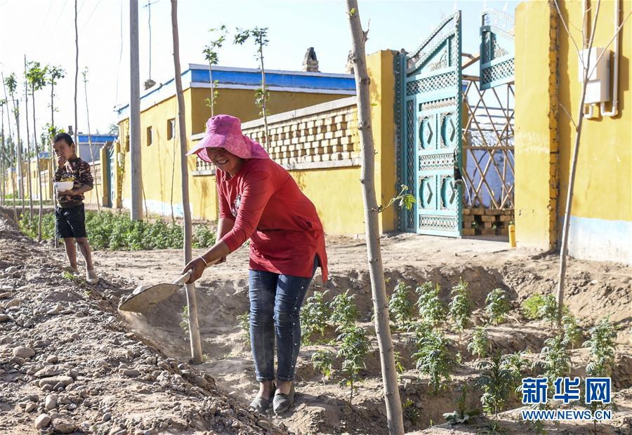 (圖文互動(dòng))(8)“沙漠高地”的美好家園