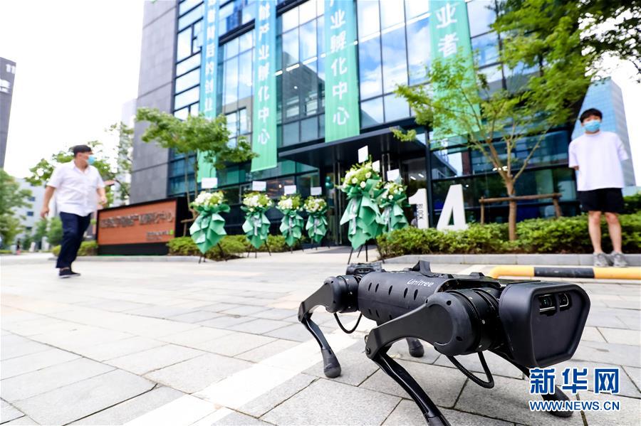 (新華全媒頭條·圖文互動(dòng))(10)讓世界更有“AI”——透視2020世界人工智能大會(huì)云端峰會(huì)