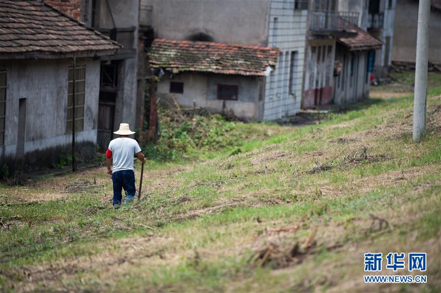 (防汛抗洪·圖文互動(dòng))(3)鏖戰(zhàn)南洞庭