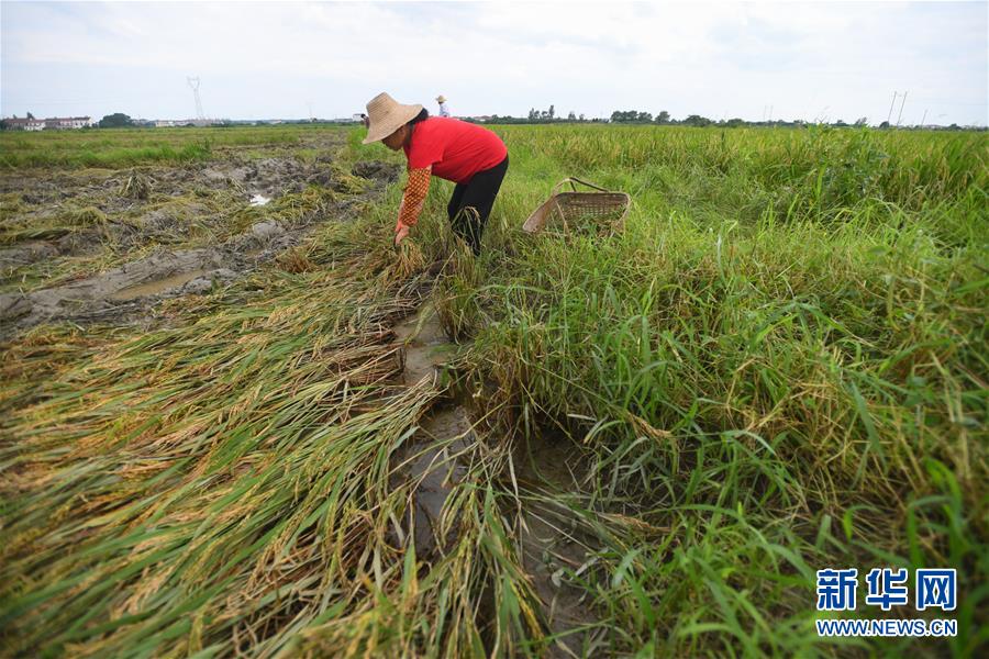 （新華全媒頭條&middot;圖文互動）（13）為了人民群眾生命財產(chǎn)安全&mdash;&mdash;聚焦關(guān)鍵時期全國防汛抗洪工作