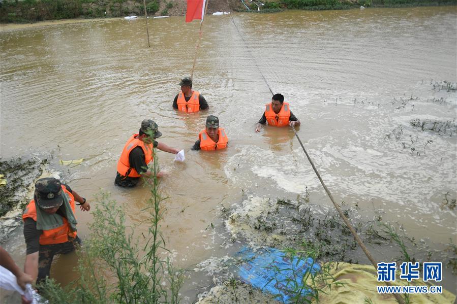 （防汛抗洪&middot;圖文互動(dòng)）（1）&ldquo;大堤上有了&lsquo;導(dǎo)彈綠&rsquo;，我們老百姓安了心&rdquo;