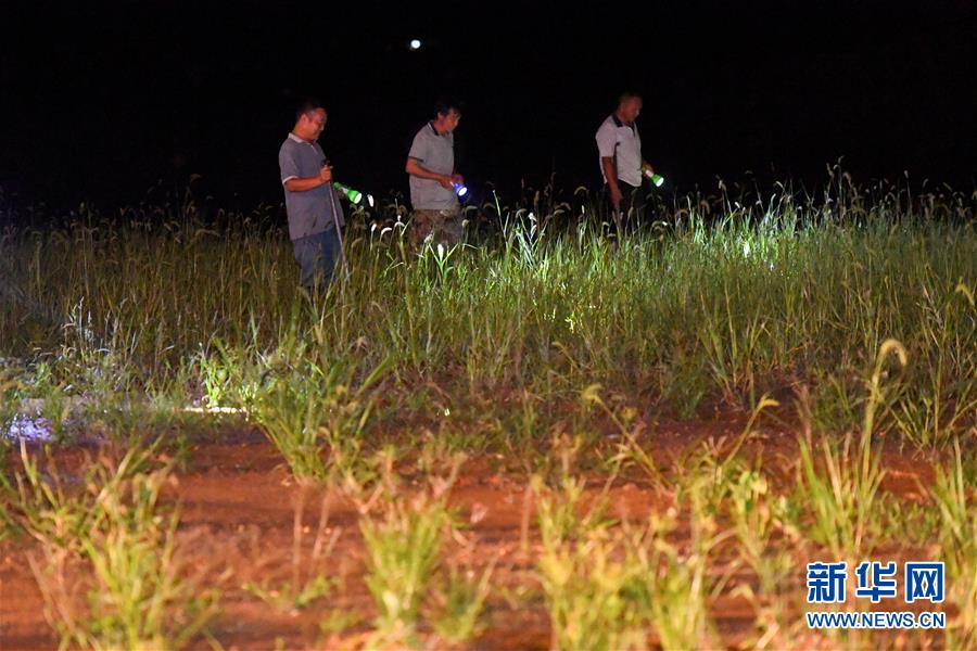 （防汛抗洪&middot;圖文互動(dòng)）（2）&ldquo;保衛(wèi)家園，誰都不能是旁觀者&rdquo;&mdash;&mdash;夜訪洞庭湖大堤防汛一線