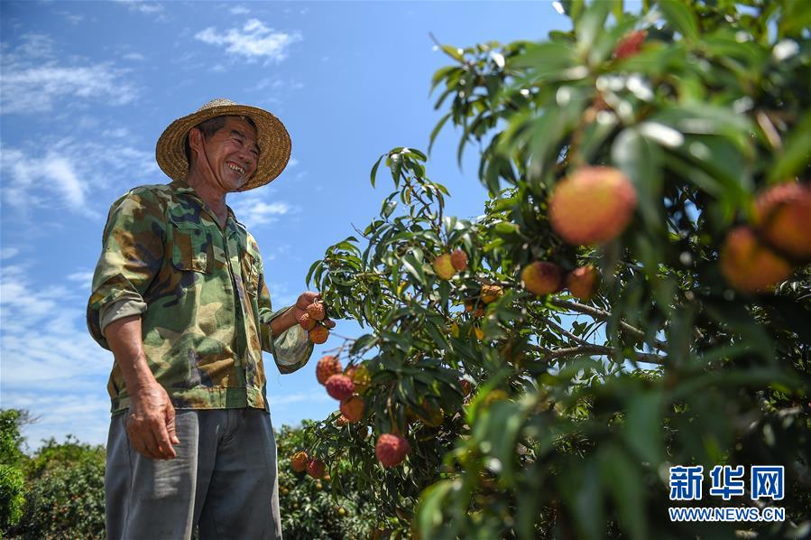 (新華全媒頭條·走向我們的小康生活·圖文互動)(15)留住鄉(xiāng)愁留住美——千村競秀綴瓊州