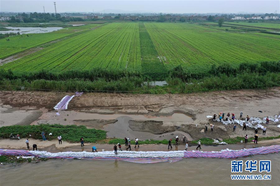 (新華全媒頭條·圖文互動)(2)鏖戰(zhàn)江新洲
