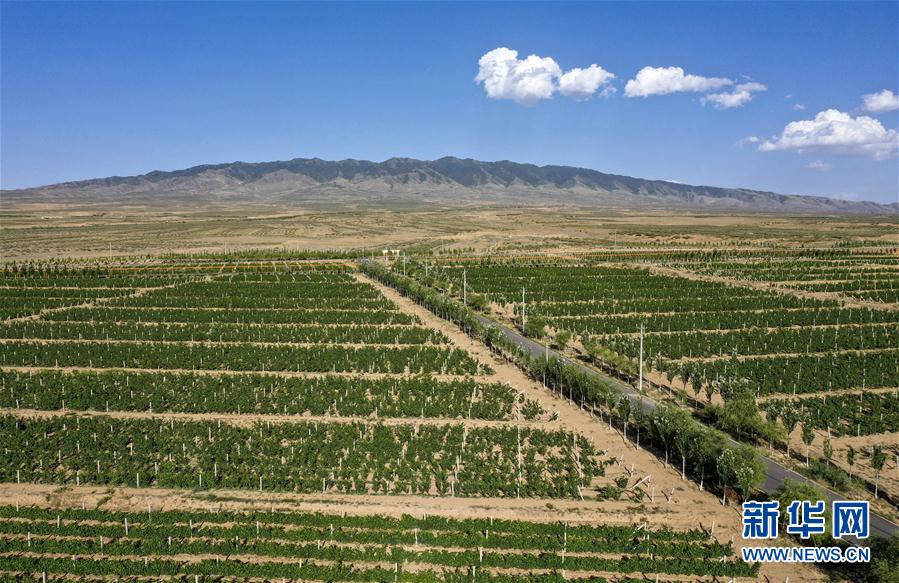 （走向我們的小康生活&middot;圖文互動）（4）西海固換了新模樣