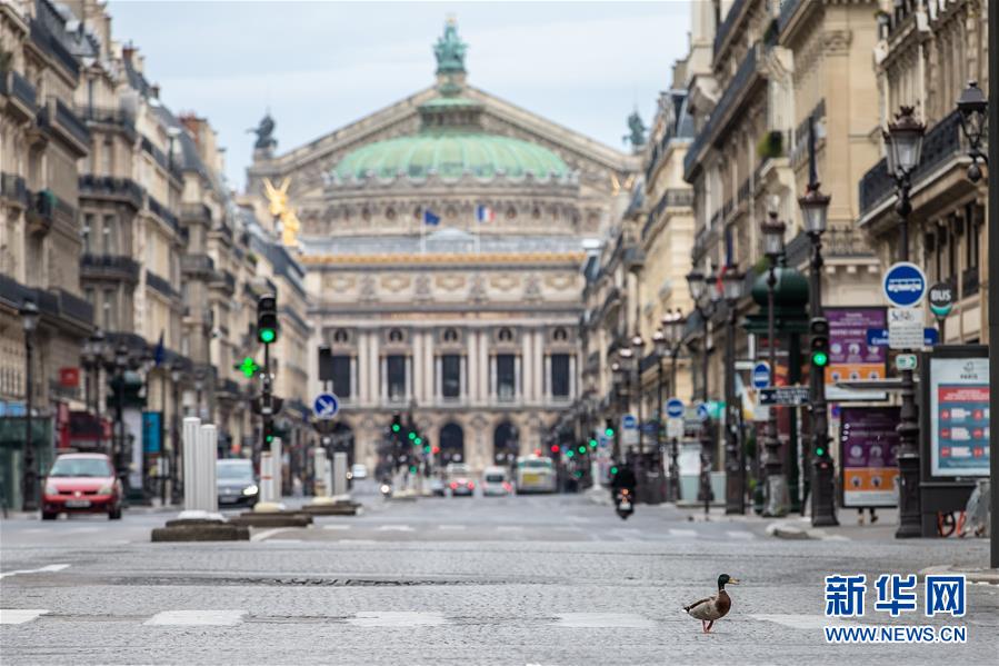 （國(guó)際&middot;圖文互動(dòng)）（4）特稿：穿越寒暑 無問西東&mdash;&mdash;寫在新冠疫情構(gòu)成&ldquo;國(guó)際關(guān)注的突發(fā)公共衛(wèi)生事件&rdquo;半年之際