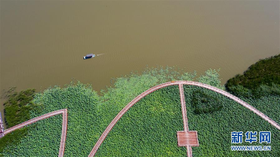 （在習(xí)近平新時(shí)代中國特色社會(huì)主義思想指引下&mdash;&mdash;新時(shí)代新作為新篇章&middot;習(xí)近平總書記關(guān)切事&middot;圖文互動(dòng)）（8）綠色映底蘊(yùn)，山水見初心&mdash;&mdash;生態(tài)優(yōu)先、綠色發(fā)展持續(xù)造福群眾美好生活