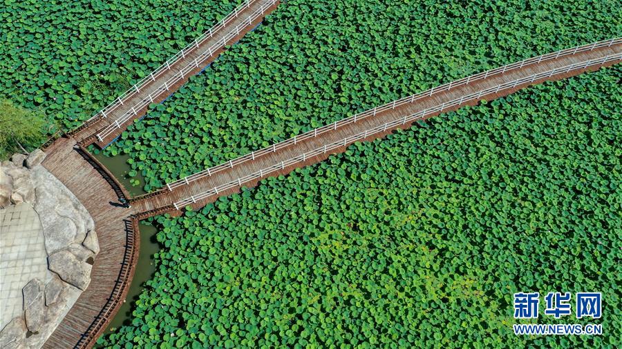 （在習(xí)近平新時(shí)代中國特色社會(huì)主義思想指引下&mdash;&mdash;新時(shí)代新作為新篇章&middot;習(xí)近平總書記關(guān)切事&middot;圖文互動(dòng)）（9）綠色映底蘊(yùn)，山水見初心&mdash;&mdash;生態(tài)優(yōu)先、綠色發(fā)展持續(xù)造福群眾美好生活