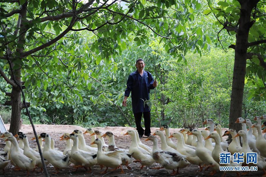 （新華全媒頭條&middot;圖文互動(dòng)）（8）穩(wěn)中求進(jìn) 奮勇前進(jìn)&mdash;&mdash;從中央政治局會議看中國經(jīng)濟(jì)走勢