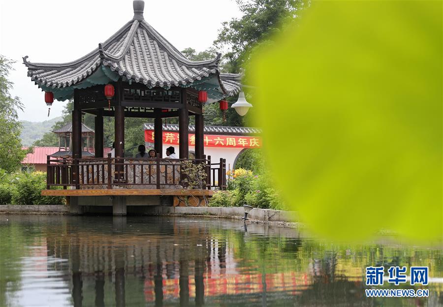 (走向我們的小康生活·圖文互動)(3)從“遼寧藍”到“花果山”——遼寧推進生態(tài)文明建設(shè)剪影