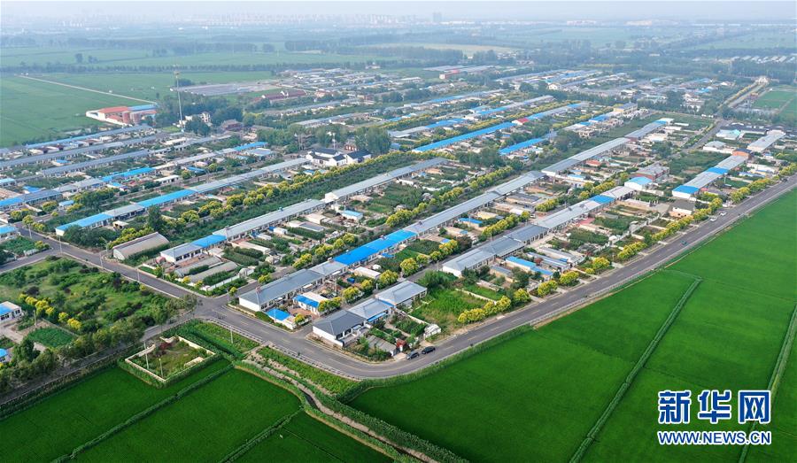 （新華全媒頭條&middot;走向我們的小康生活&middot;圖文互動(dòng)）（4）&ldquo;南大荒&rdquo;變&ldquo;稻蟹鄉(xiāng)&rdquo;&mdash;&mdash;資源枯竭型城市盤錦的鄉(xiāng)村振興之路