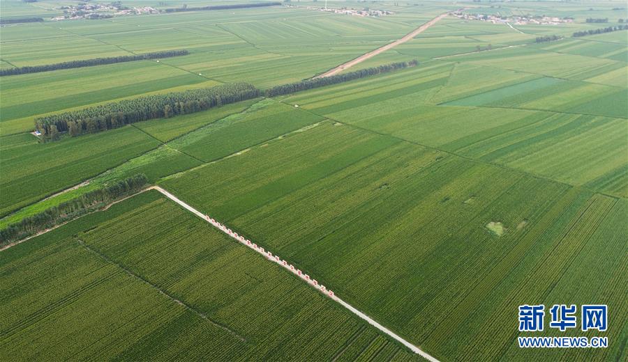 （在習(xí)近平新時(shí)代中國(guó)特色社會(huì)主義思想指引下&mdash;&mdash;新時(shí)代新作為新篇章&middot;習(xí)近平總書記關(guān)切事&middot;圖文互動(dòng)）（2）為黑土加&ldquo;油&rdquo;&mdash;&mdash;&ldquo;耕地中的大熊貓&rdquo;，我們這樣保護(hù)