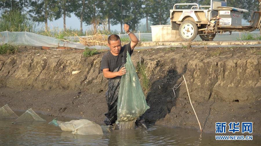 (鄉(xiāng)村振興·圖文互動)(2)歡喜莊的“歡喜事”
