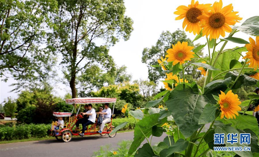 （新華全媒頭條&middot;走向我們的小康生活&middot;圖文互動(dòng)）（13）城市，讓人民生活更美好