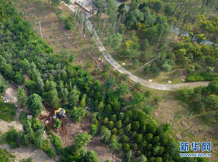 （新華全媒頭條&middot;圖文互動）（15）扎實推進籌辦，不負(fù)青春韶華&mdash;&mdash;北京冬奧會籌辦備戰(zhàn)克服疫情影響平穩(wěn)推進