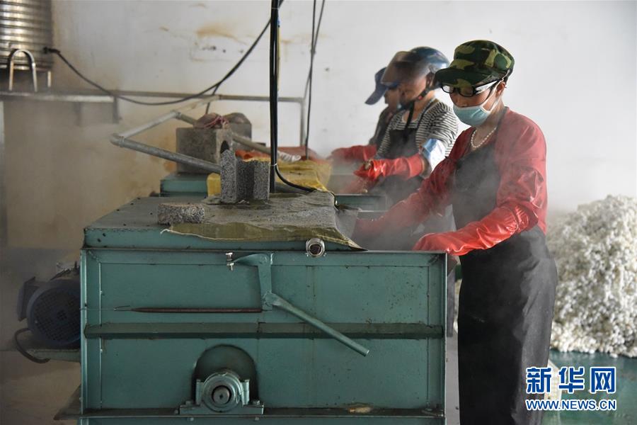 (決戰(zhàn)決勝脫貧攻堅·圖文互動)(2)“江南繅絲”喀斯特深山扎根記