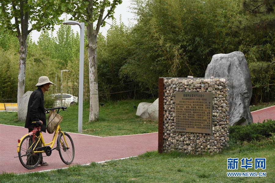 (新華視點(diǎn)·圖文互動(dòng))(4)警惕重金“移石造景”之風(fēng):有的景觀石一塊逾百萬元