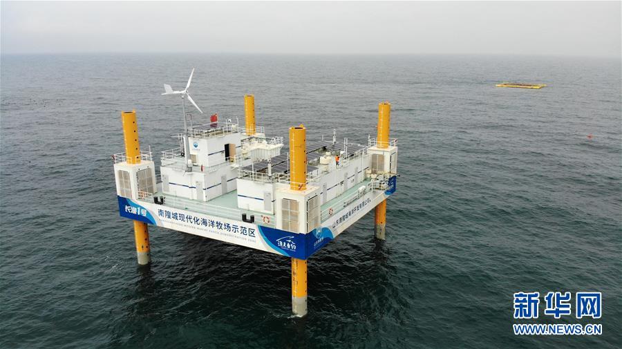 （新華全媒頭條&middot;走向我們的小康生活&middot;圖文互動）（5）幸福小康入畫來&mdash;&mdash;齊魯大地描繪小康新畫卷