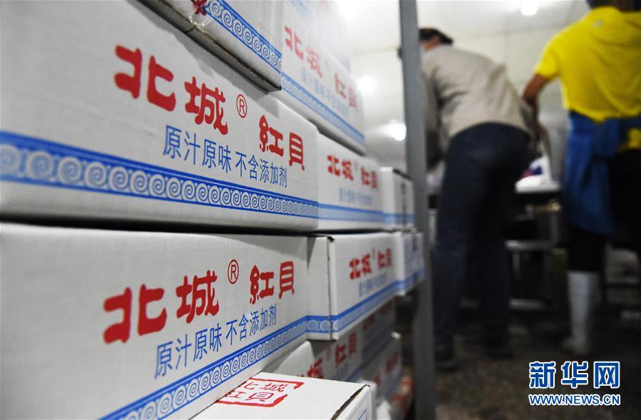 (走向我們的小康生活·圖文互動)(2)長島漁民的扇貝喜事:從請客求人買到供不應(yīng)求