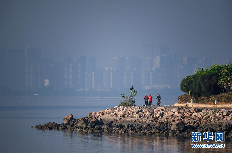 （新華全媒頭條&middot;圖文互動）（10）鯤鵬展翅九萬里&mdash;&mdash;深圳奮力跑好建設(shè)中國特色社會主義先行示范區(qū)&ldquo;第一程&rdquo;
