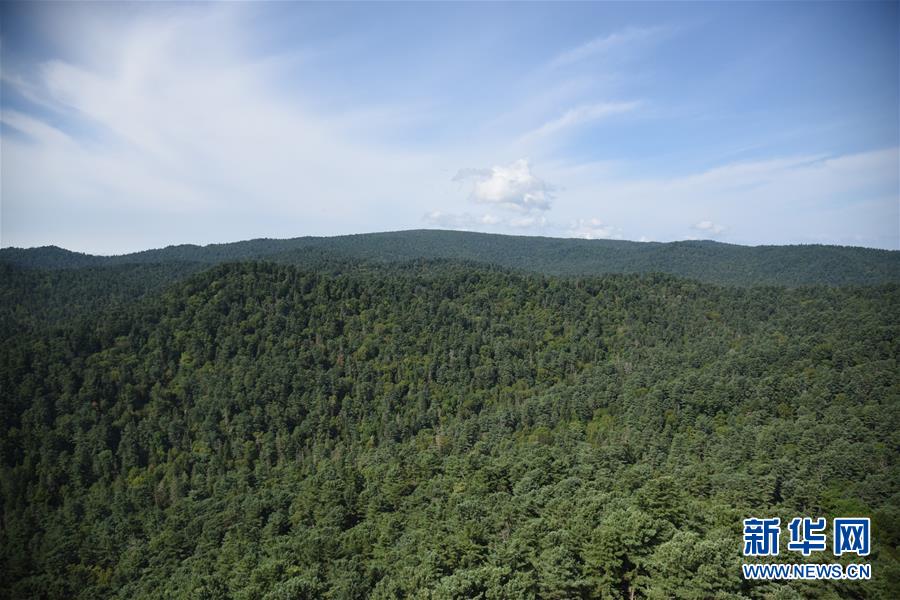 （鄉(xiāng)村振興&middot;圖文互動(dòng)）守護(hù)小興安嶺的&ldquo;綠色明珠&rdquo;